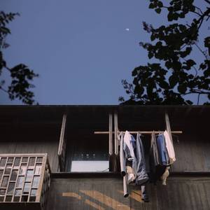 穿开档丝袜操逼逼
