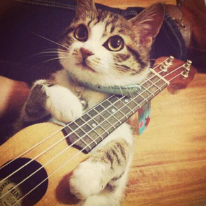 穿开档丝袜操逼逼
