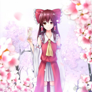 穿开档丝袜操逼逼
